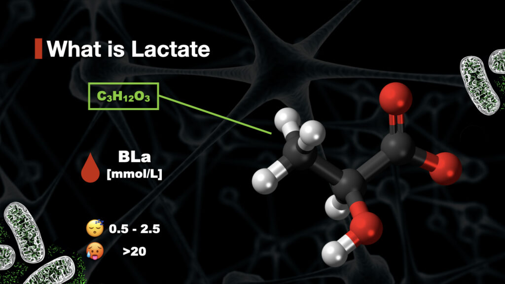 what is lactate? resting levels of lactate (and high lactate levels)