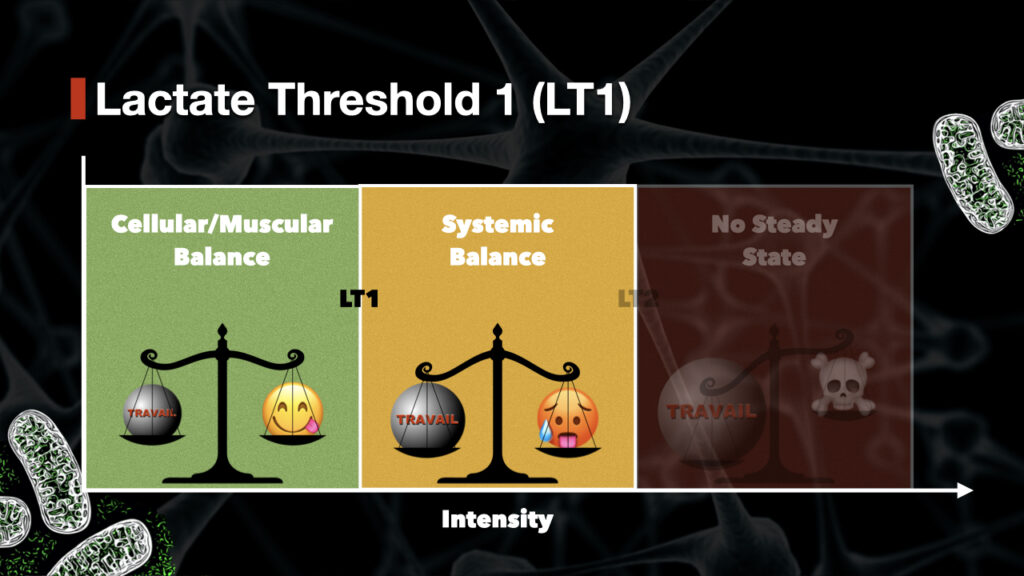 The transition between the moderate and the heavy domain is marked by the first lactate threshold.