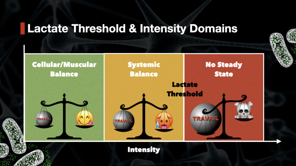 Illustration of the different exercise intensity domains as they relate to the lactate threshold