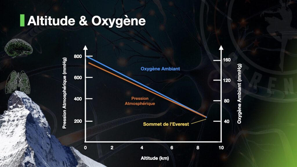 The oxygen content of the air is much lower at altitude.
