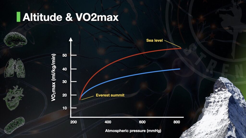 Vo2max decreases with altitude